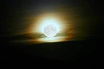 Träume oder Wache ich?