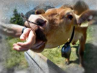 025 Handmade ARKI-Tec 2025 II.jpg