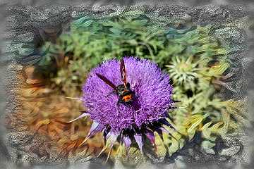 031 Handmade ARKI-Tec 2025.jpg