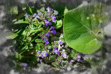 080 Handmade ARKI-Tec 2025 II.jpg