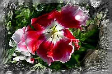 112 Handmade ARKI-Tec 2025.jpg