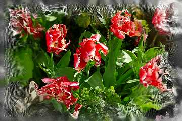 114 Handmade ARKI-Tec 2025.jpg