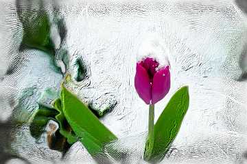 085 Handmade ARKI-Tec 2022.jpg