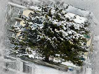 11 Handmade Winterimpression.jpg