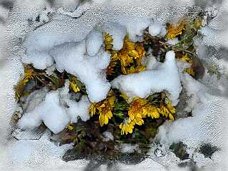 13 Handmade Winterimpression.jpg