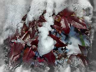 15 Handmade Winterimpression.jpg