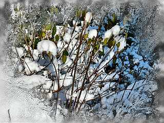 17 Handmade Winterimpression.jpg