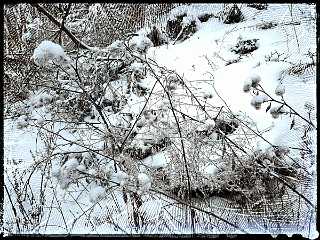 24 Handmade Winter 2021.jpg