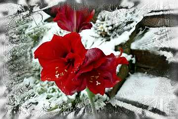 29 Handmade Winter 2020.jpg