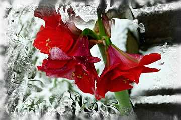 41 Handmade Winter 2020.jpg