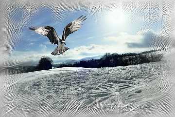 42 Handmade Winter 2021.jpg