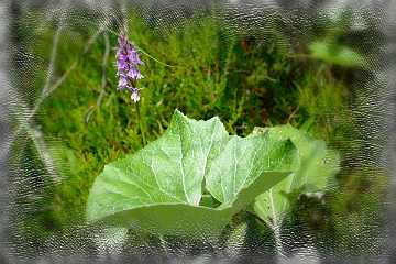 017 Handmade ARKI-Tec 2025 II.jpg